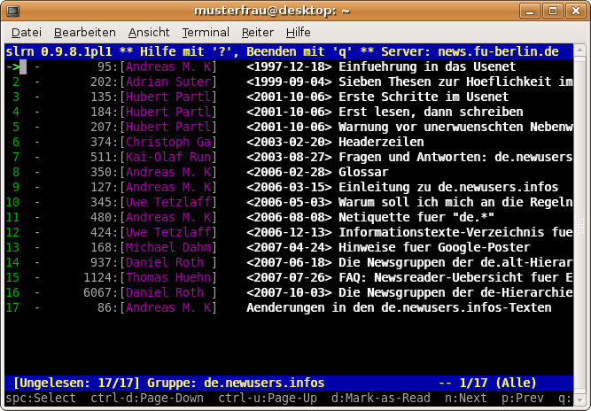 Fenster mit den Artikeln der gew&auml;hlten Newsgruppe